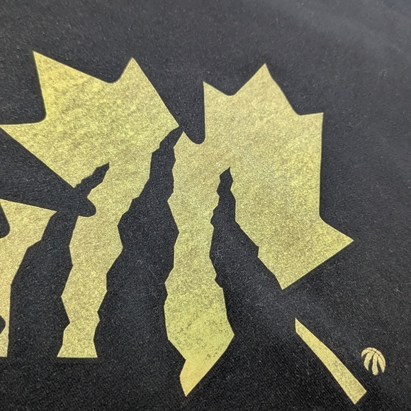 Black Raptors Hoodie - Picture 2 of 3